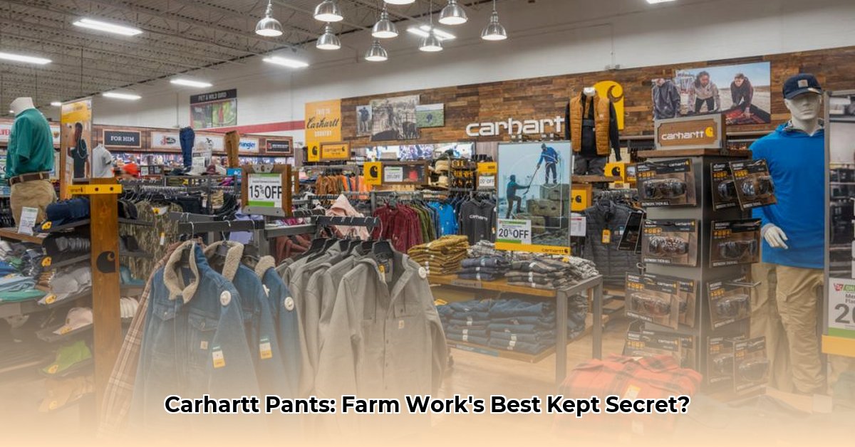 carhartt-pants-at-tractor-supply